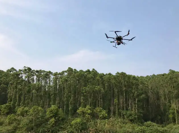 无人机技术在现代林业工作方面的应用(图1)